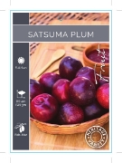 Picture of FRUIT PLUM SATSUMA (HERITAGE) Jumbo Tag                                                                                                               