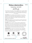 Picture of FRUIT APPLE GRANNY SMITH (HERITAGE)                                                                                                                   