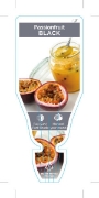 Picture of FRUIT PASSIONFRUIT BLACK EDULIS                                                                                                                       