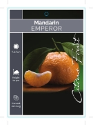 Picture of FRUIT CITRUS MANDARIN EMPEROR Jumbo Tag                                                                                                               