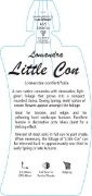 Picture of LOMANDRA LITTLE CON                                                                                                                                   