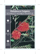 Picture of MELALEUCA FULGENS                                                                                                                                     