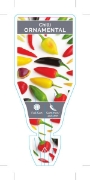 Picture of CHILLI ORNAMENTAL (Capsicum annuum)                                                                                                                   