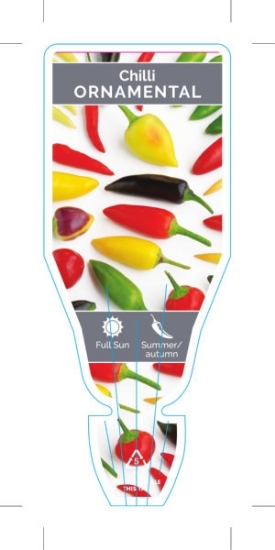 Picture of CHILLI ORNAMENTAL (Capsicum annuum)                                                                                                                   