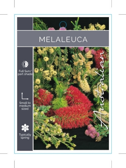 Picture of MELALEUCA (MIXED PICTURE)                                                                                                                             