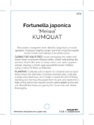 Picture of FRUIT CITRUS KUMQUAT MEIWA                                                                                                                            