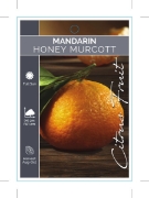 Picture of FRUIT CITRUS MANDARIN HONEY MURCOTT                                                                                                                   