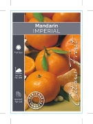 Picture of FRUIT CITRUS MANDARIN IMPERIAL (HERITAGE)                                                                                                             