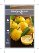 Picture of FRUIT CITRUS JAPANESE LEMON YUZU                                                                                                                      