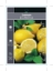 Picture of FRUIT CITRUS LEMON EUREKA                                                                                                                             