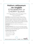 Picture of FRUIT GUAVA STRAWBERRY OR CHERRY                                                                                                                      