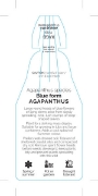Picture of AGAPANTHUS BLUE                                                                                                                                       