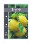 Picture of FRUIT CITRUS GRAPEFRUIT WHEENY                                                                                                                        