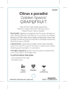 Picture of FRUIT CITRUS GRAPEFRUIT GOLDEN SPECIAL                                                                                                                
