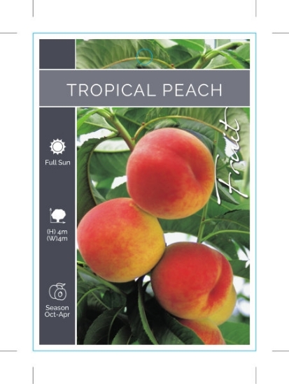 Picture of FRUIT PEACH TROPICAL (TICK BOX)                                                                                                                       