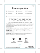 Picture of FRUIT PEACH TROPICAL (TICK BOX)                                                                                                                       