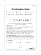 Picture of FRUIT CUSTARD APPLE ANNONA ATEMOYA (TICK BOX)                                                                                                         
