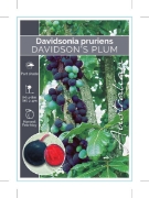 Picture of DAVIDSONIA PRURIENS DAVIDSONS PLUM                                                                                                                    