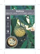 Picture of FRUIT CUSTARD APPLE BRAZILIAN                                                                                                                         