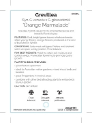 Picture of GREVILLEA ORANGE MARMALADE                                                                                                                            