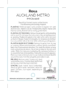 Picture of **ROSE AUCKLAND METRO (HT)                                                                                                                            