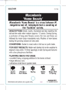 Picture of NUT MACADAMIA HOME BEAUTY                                                                                                                             