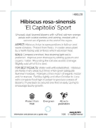 Picture of HIBISCUS EL CAPITOLIO SPORT                                                                                                                           