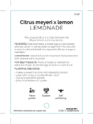 Picture of FRUIT CITRUS LEMONADE                                                                                                                                 