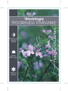 Picture of WESTRINGIA POORINDA PARVANE                                                                                                                           