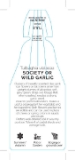 Picture of TULBAGHIA VIOLACEA SOCIETY OR WILD GARLIC                                                                                                             
