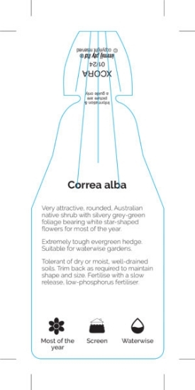 Picture of CORREA ALBA                                                                                                                                           