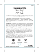 Picture of FRUIT APPLE RED FUJI                                                                                                                                  