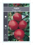 Picture of FRUIT APPLE RED FUJI Jumbo Tag                                                                                                                        