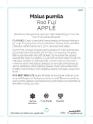 Picture of FRUIT APPLE RED FUJI Jumbo Tag                                                                                                                        