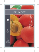 Picture of FRUIT PLUMCOT                                                                                                                                         