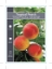 Picture of FRUIT PEACH TROPICAL TROPIC SNOW                                                                                                                      