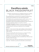 Picture of FRUIT PASSIONFRUIT BLACK EDULIS                                                                                                                       