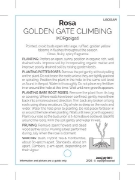 Picture of ROSE GOLDEN GATE CLIMBING                                                                                                                             