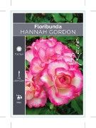 Picture of ROSE HANNAH GORDON (FL)                                                                                                                               