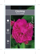 Picture of ROSE TITIAN CLIMBING                                                                                                                                  
