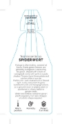 Picture of HOUSEPLANT TRADESCANTIA SPIDERWORT                                                                                                                    