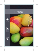 Picture of FRUIT MANGO (TICK BOX)                                                                                                                                