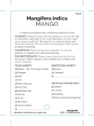 Picture of FRUIT MANGO (TICK BOX)                                                                                                                                