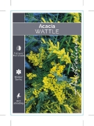 Picture of ACACIA (MIXED PICTURE)                                                                                                                                