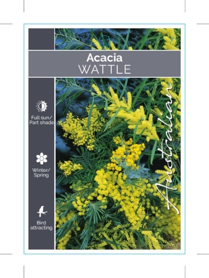 Picture of ACACIA (MIXED PICTURE)                                                                                                                                