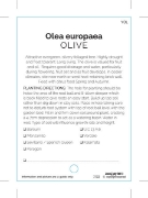 Picture of FRUIT OLIVE (TICK BOXES)                                                                                                                              