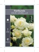 Picture of ROSE OUR VANILLA (FL)                                                                                                                                 