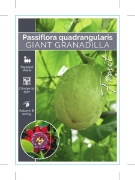 Picture of FRUIT GRANADILLA GIANT                                                                                                                                
