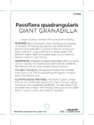 Picture of FRUIT GRANADILLA GIANT                                                                                                                                