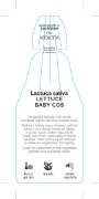 Picture of VEGETABLE LETTUCE BABY COS (Lactuca sativa)                                                                                                           
